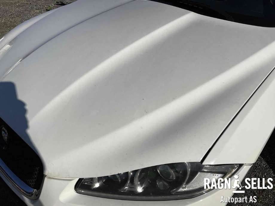 Panser til Jaguar XF 2008-2015 (X250) (X250) (C2Z12813|CX2316612AG|C2Z29968|CX2316612AH)