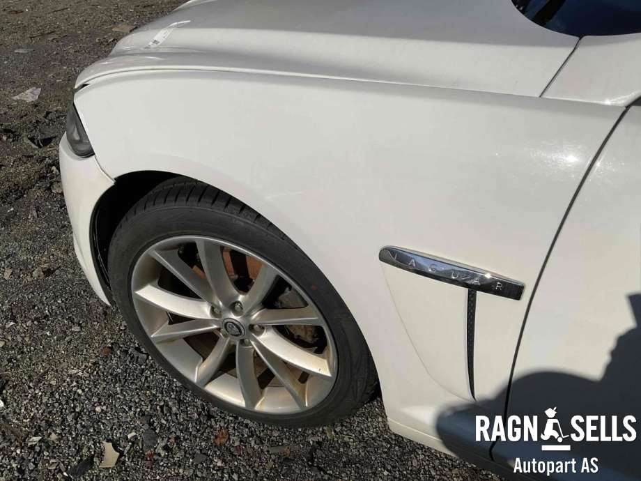 Skjerm venstre foran til Jaguar XF 2008-2015 (X250) (X250) (C2Z16959|)