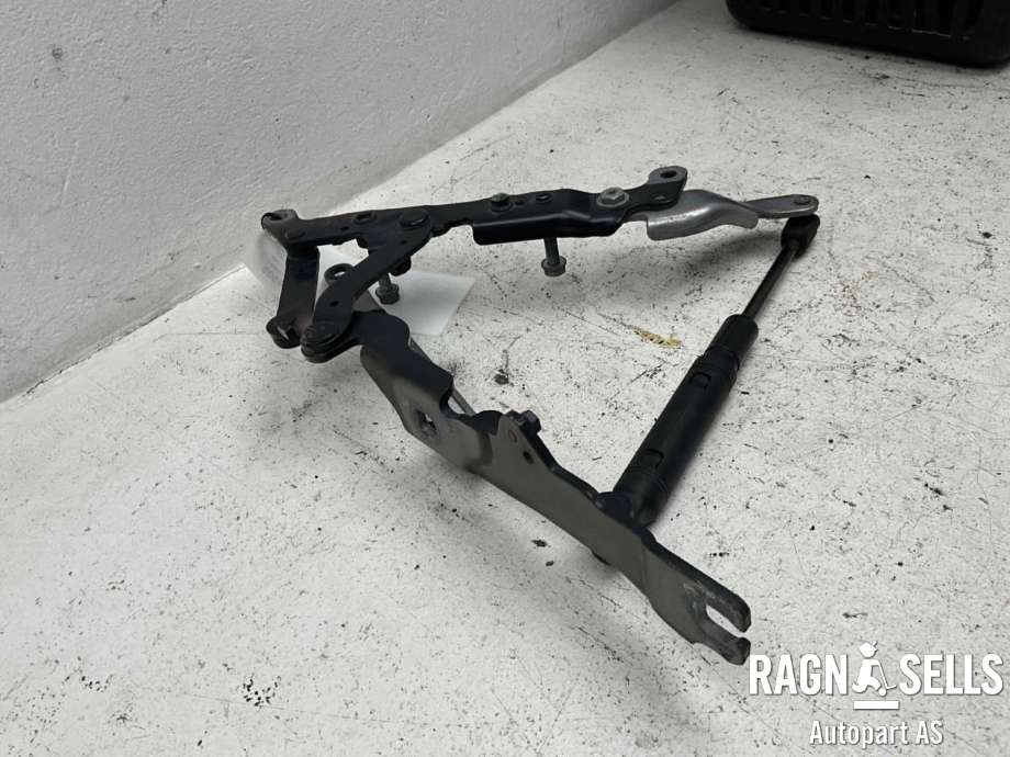 Panserhengsler til BMW 5-Serie 2010-2017 (F10/F11) (F10/F11) (41 61 7 207 199|)