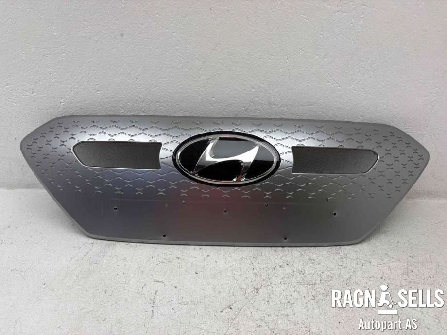 Grill til Hyundai Ioniq Electric, 2019-->> (Fase 2)  (86350G 7900)