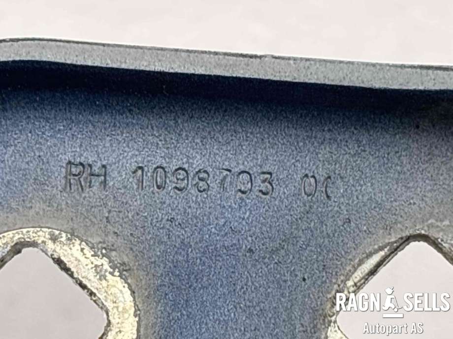 Panserhengsler til Tesla Model 3 2018-2023 (Fase 1)  (1098793-00-D|)