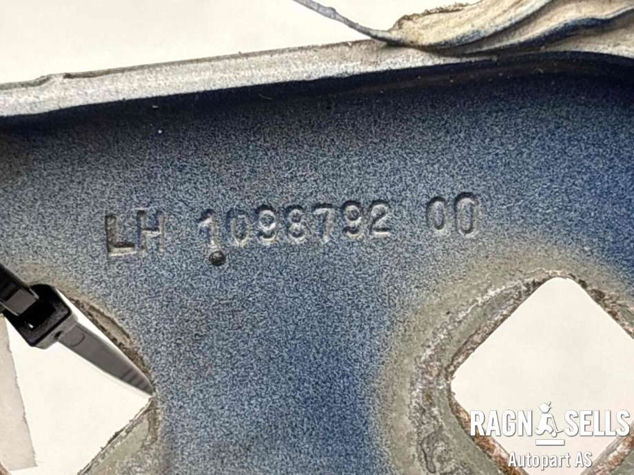 Panserhengsler til Tesla Model 3 2018-2023 (Fase 1)  (1098792-00-D|)