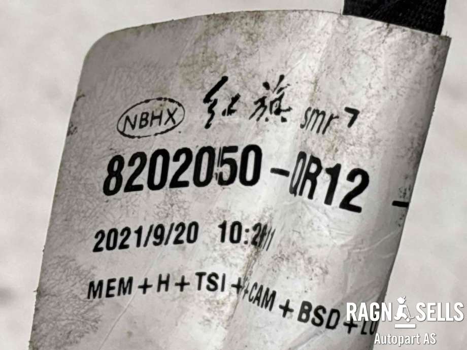 Speil høyre til Hongqi E-HS9 2022-->>  (|LMF33|04 16232)