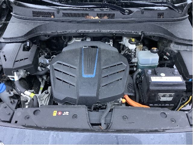 Hyundai Kona 2017-2021 (Type I, Fase 1) , Motorkode: EM16, Girkassekode: 