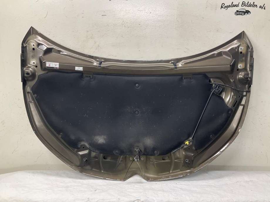 Panser til Citroën DS4 2011-2017  (CITROEN|98 227 196 80|7901 S1)