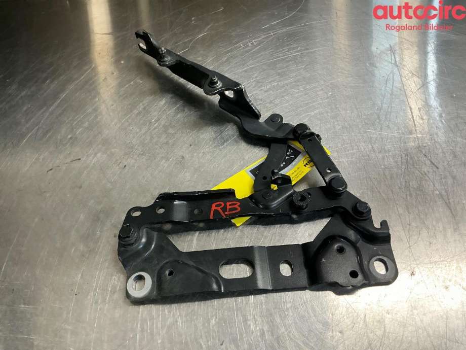 Panserhengsler til BMW 7-Serie 2009-2015 (F01/F02/F03/F04) (F01/F02/F03/F04) (BMW|41 00 7 204 556)
