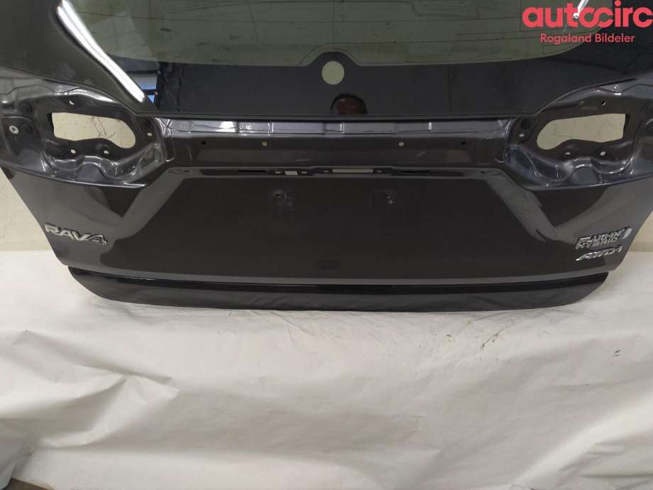 Bakluke til Toyota RAV4 2019-->> (Type V) (TOYOTA|6700542650)