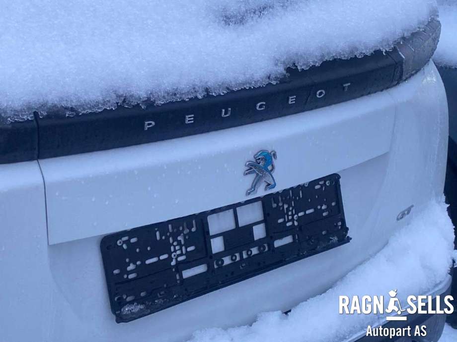 Peugeot e-2008 2019-->> , Motorkode: ZK01, Girkassekode: 