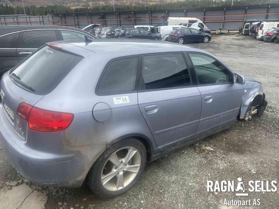 Audi A3 2003-2008 (Type II, Fase 1) , Motorkode: BKD, Girkassekode: