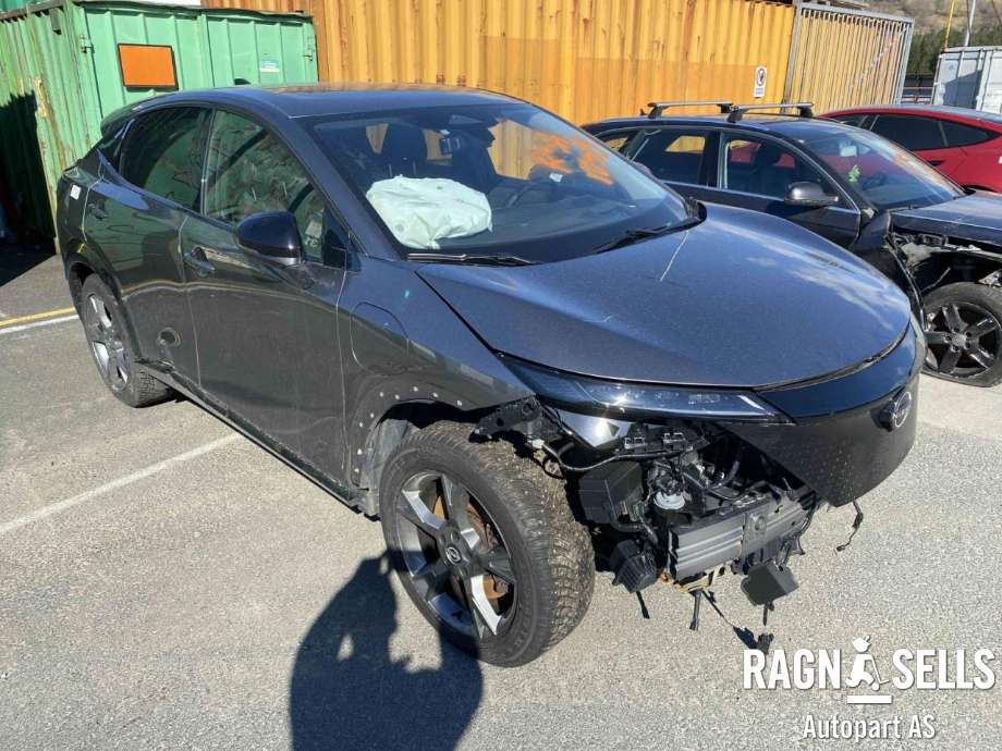 Nissan Ariya 2022-->> , Motorkode: AM67, Girkassekode: 