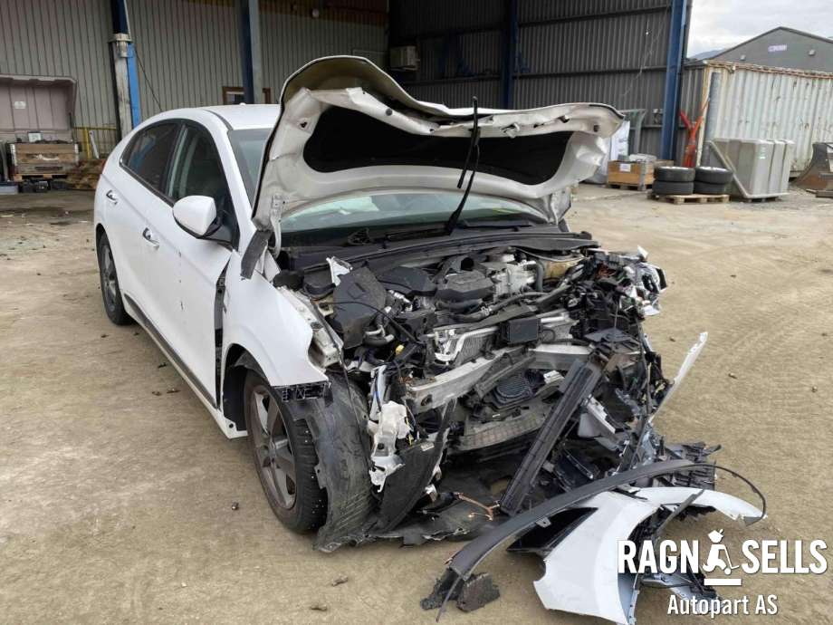 Hyundai Ioniq Electric 2019-->> (Fase 2) , Motorkode: EM09, Girkassekode: 