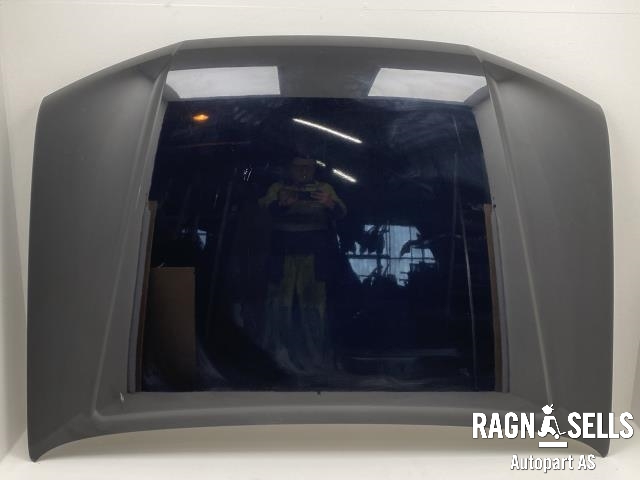 Panser til Nissan Pathfinder 2005-2010 (Fase 1) (R51) (R51) 