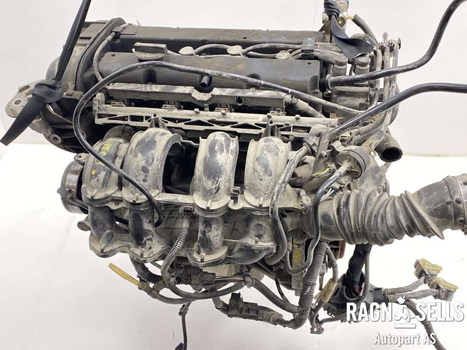 Motor bensin til Ford Fiesta 2008-2012 (Type VI, Fase 1)  (8A6G6006AB|1713369| 1705064|)