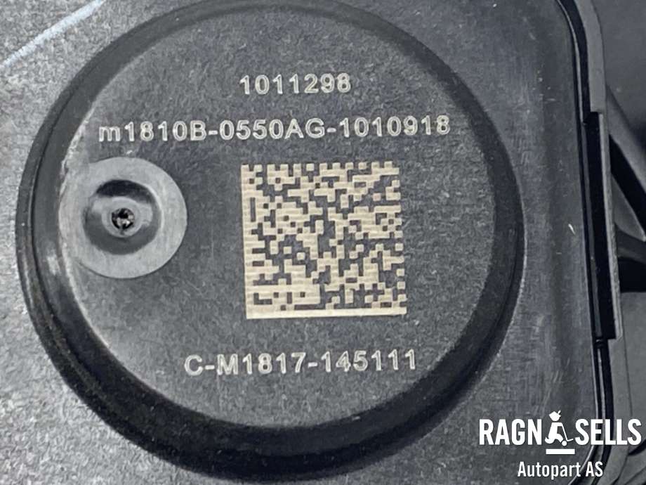 Pedal gass til Tesla Model 3 2018-2023 (Fase 1)  (1044695-00-A|)