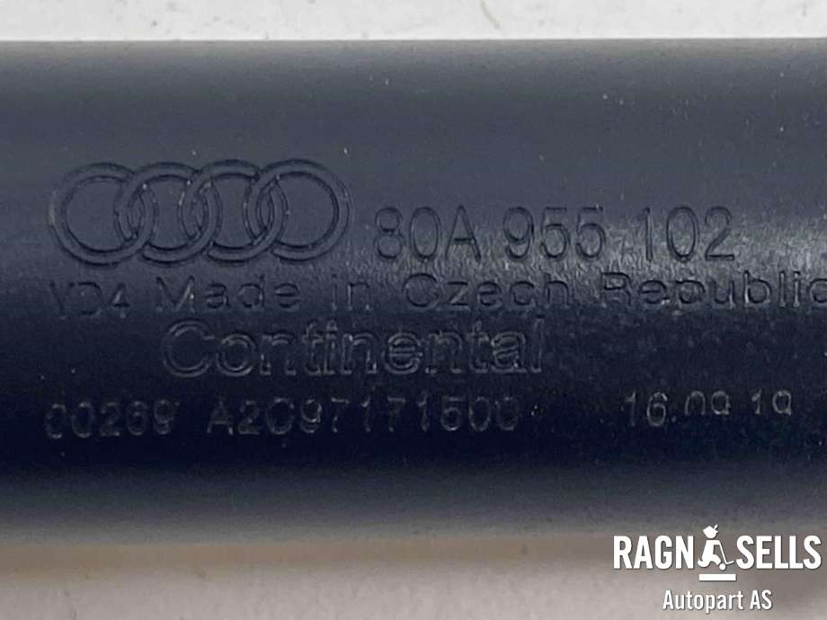 Lyktespylerdyse til Audi Q5 2017-->> (Type II)  (80A 955 102|80A807754|)