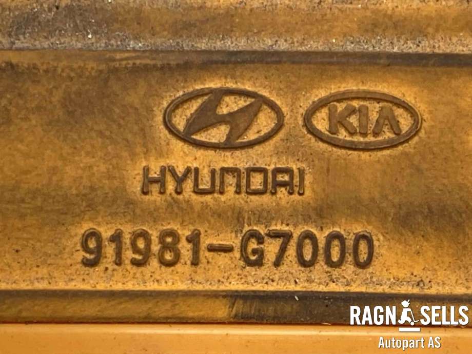 Kabel høy volt (HV) elbil til Hyundai Ioniq Electric 2016-2019 (Fase 1)  (91885G7000|)