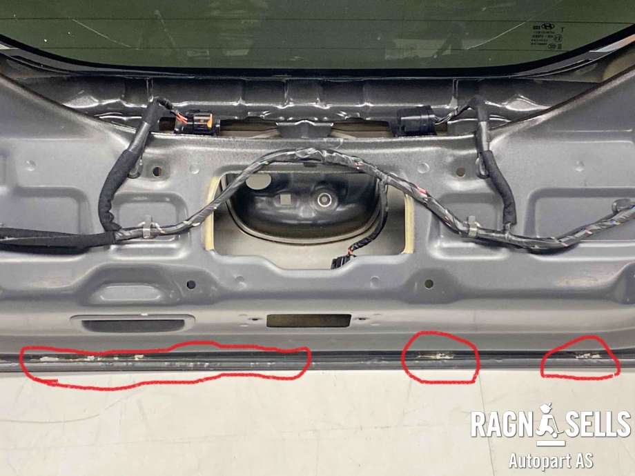 Bakluke til Hyundai Ioniq Electric 2016-2019 (Fase 1)  (73700G 2000|)