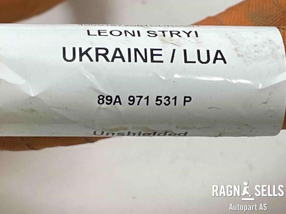 Batterilader inntak/luke til Audi Q4 e-tron 2021-->>  (89A971531P|)