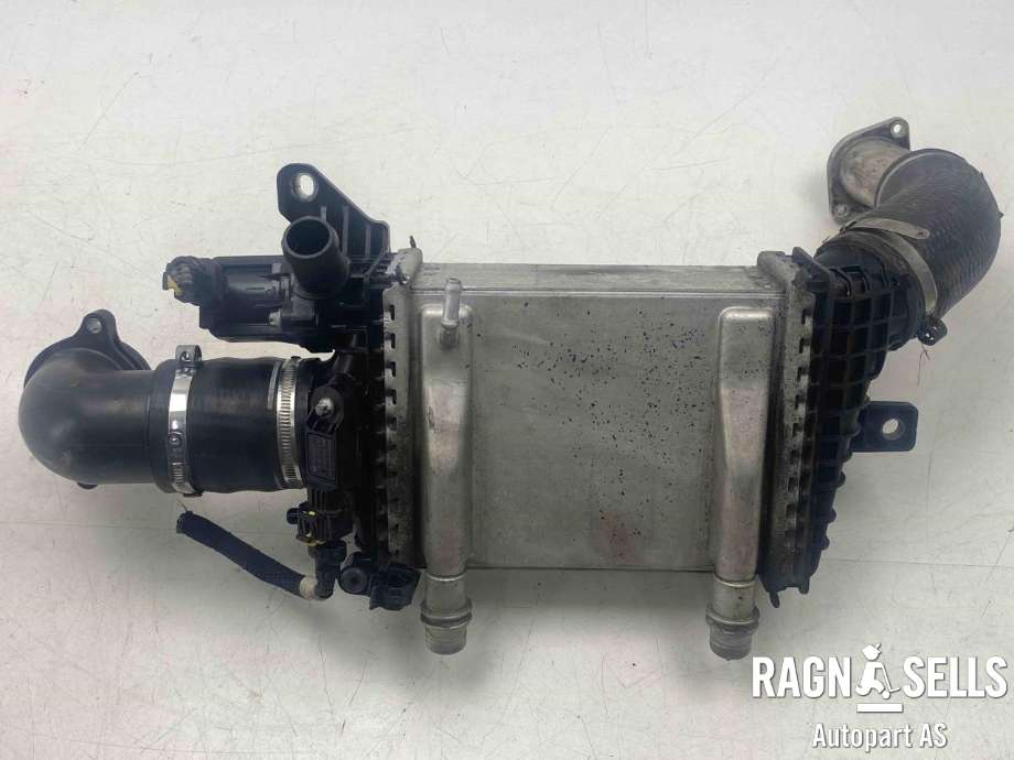 Intercooler til Alfa Romeo Giulia 2016-->>  (50533802|)