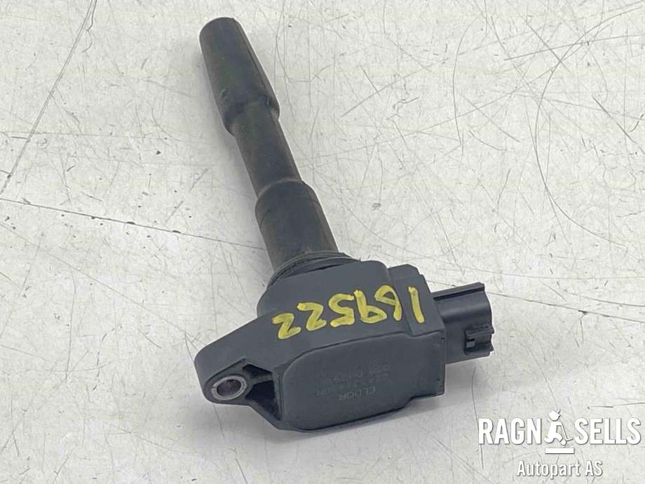 Coil elektronisk til Nissan Qashqai 2014-2021 (Type II)  (224332428R|)