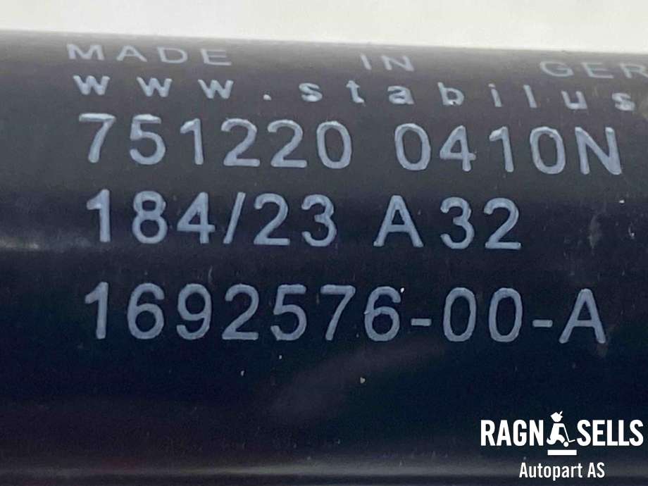 Panserhengsler til Tesla Model Y 2021-2024 (Type I)  (169257600A|)