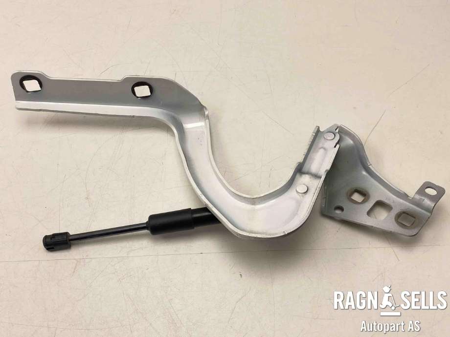 Panserhengsler til Tesla Model Y 2021-2024 (Type I)  (149626800C|)