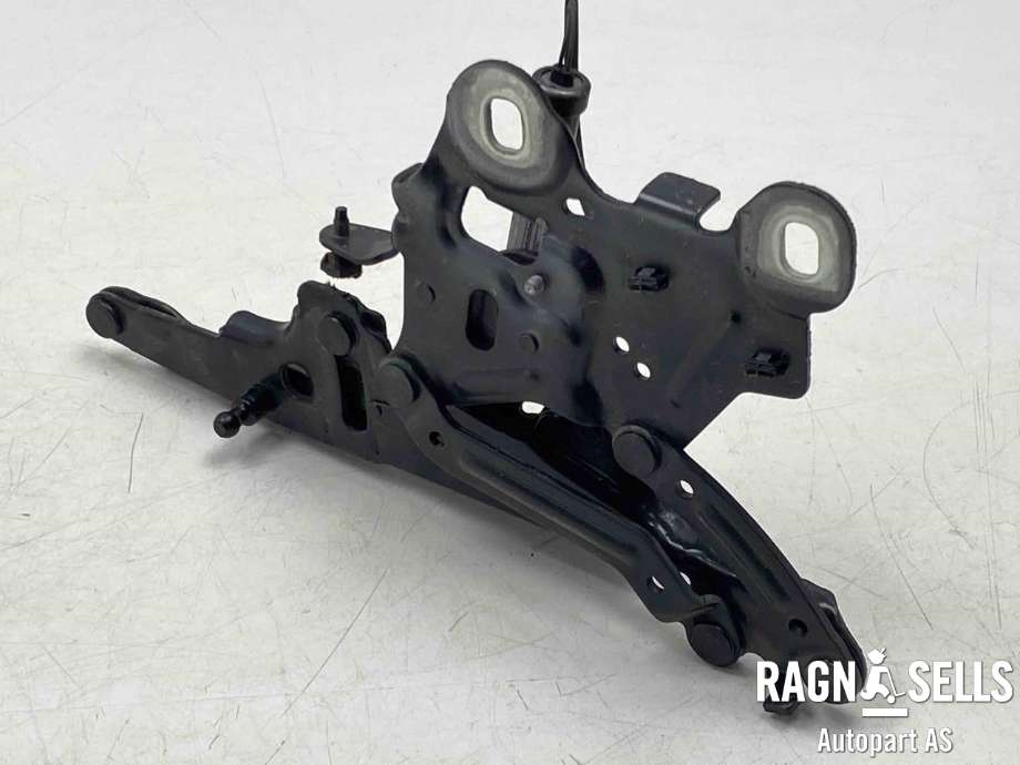 Panserhengsler til BMW X1 2015-2022 (F48) (F48) (41 00 7 427 126|0589P1000095|51 23 7 300 582)
