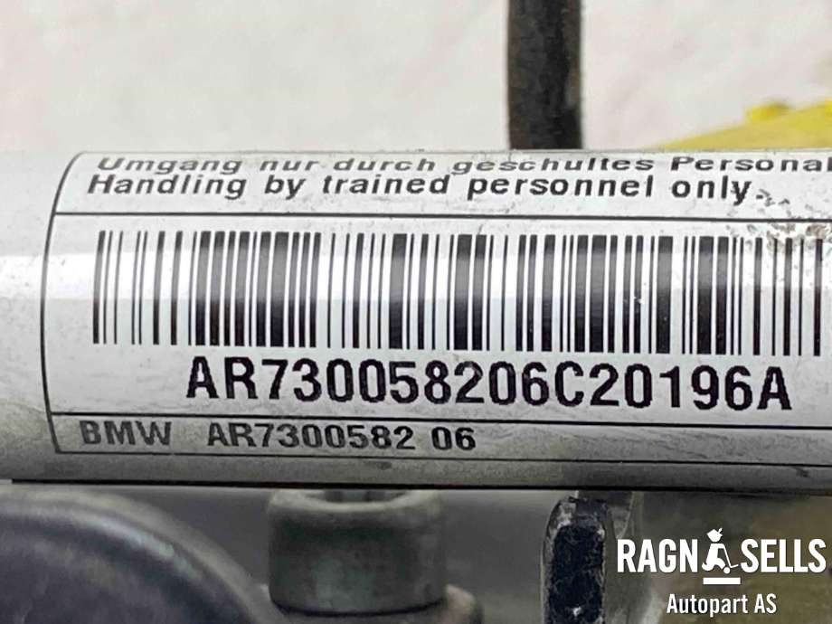 Panserhengsler til BMW X1 2015-2022 (F48) (F48) (41 00 7 427 126|0589P1000095|51 23 7 300 582)