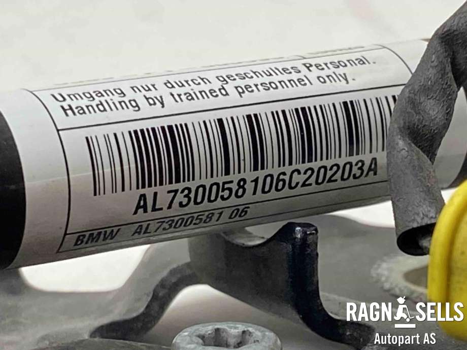 Panserhengsler til BMW X1 2015-2022 (F48) (F48) (41 00 7 427 125|0589P1000095|51 23 7 300 581)