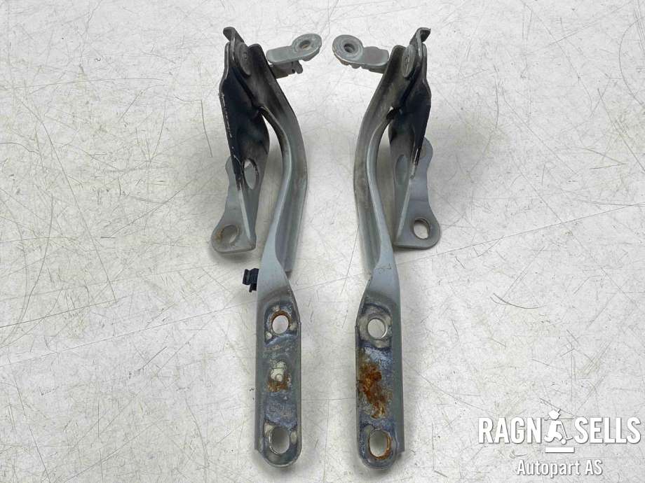 Panserhengsler til Toyota RAV4, 2009-2013 (Type III, Fase 2)  (5341042090)
