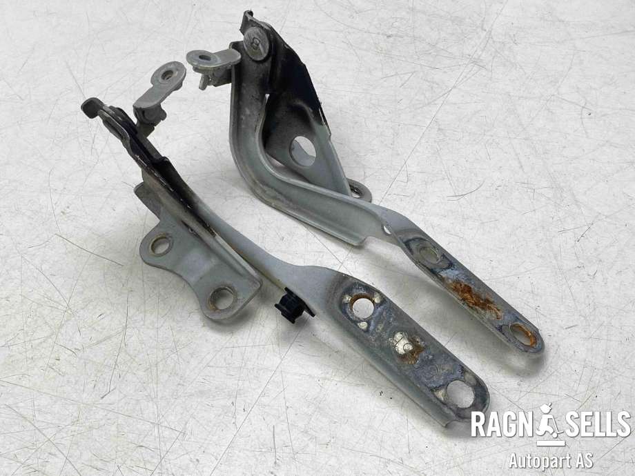 Panserhengsler til Toyota RAV4 2009-2013 (Type III, Fase 2)  (5341042090|5342042090|)
