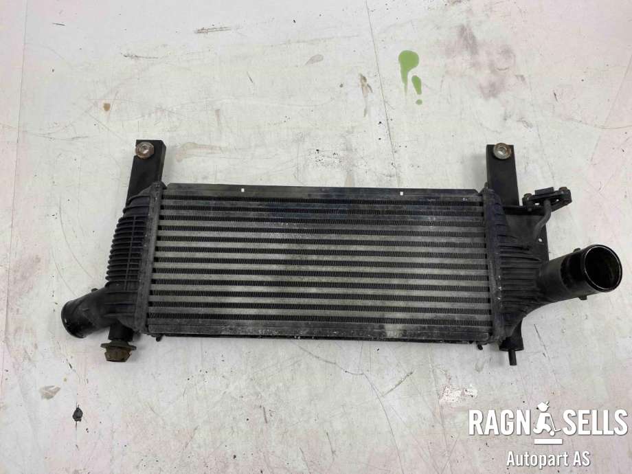 Intercooler til Nissan Pathfinder 2005-2010 (Fase 1) (R51) (R51) (14461EB360|)