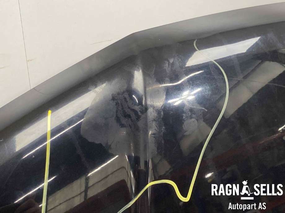 Panser til Nissan Navara 2005-2010 (Fase 1) (D40) (D40) (65100EB330|)