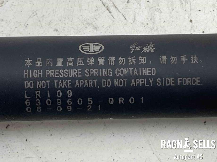 Baklukedemper til Hongqi E-HS9 2022-->>  (6309605-QR01|)