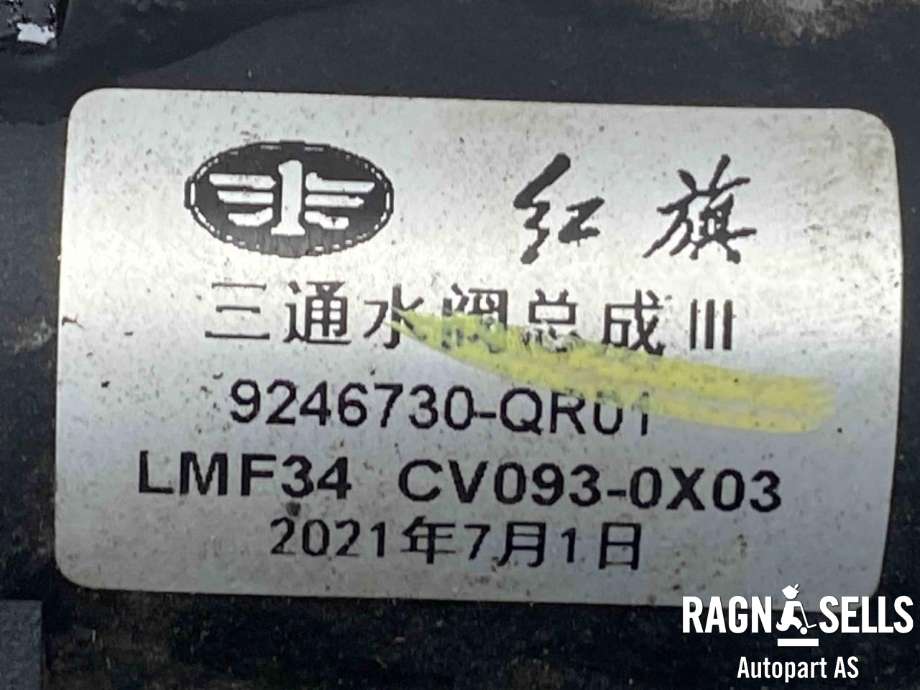 Ventil vann til Hongqi E-HS9 2022-->>  (9246730-QR01|)
