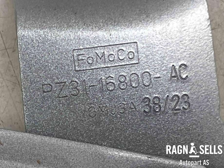 Panserhengsler til Ford Transit Custom 2023-->> (Type II)  (PZ31-16800-AC|2653458|)