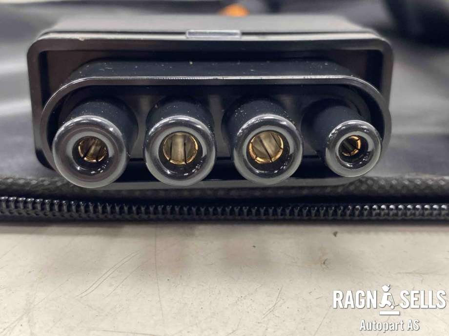 Batterilader kabel til Ford Mustang Mach-e 2020-->>  