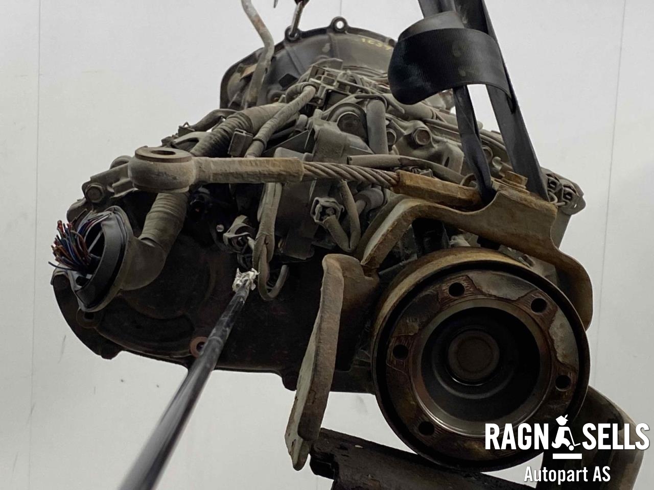 bilde
