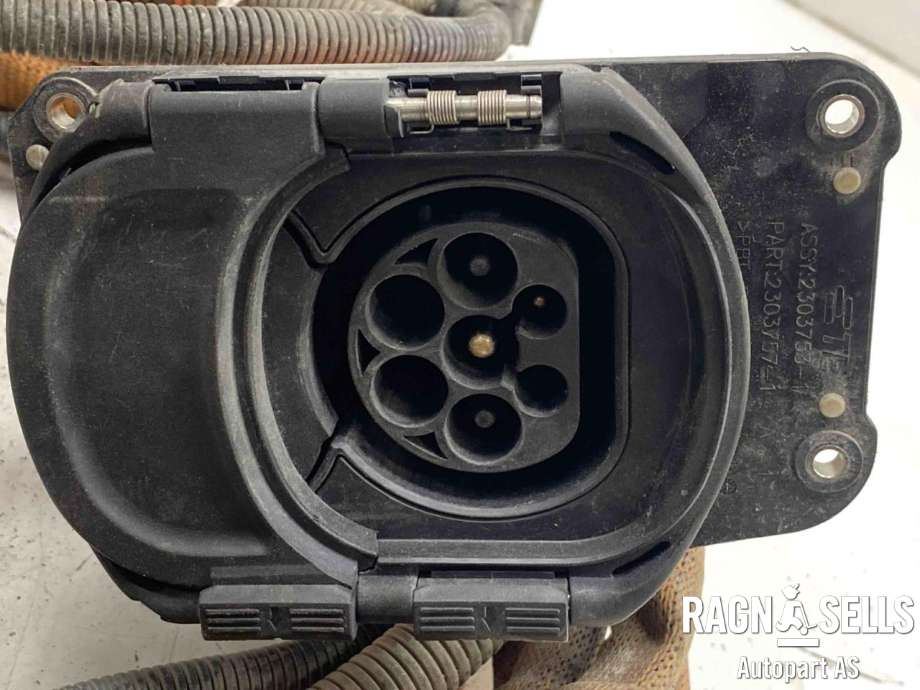 Batterilader inntak/luke til Maxus EV80 2019-->>  