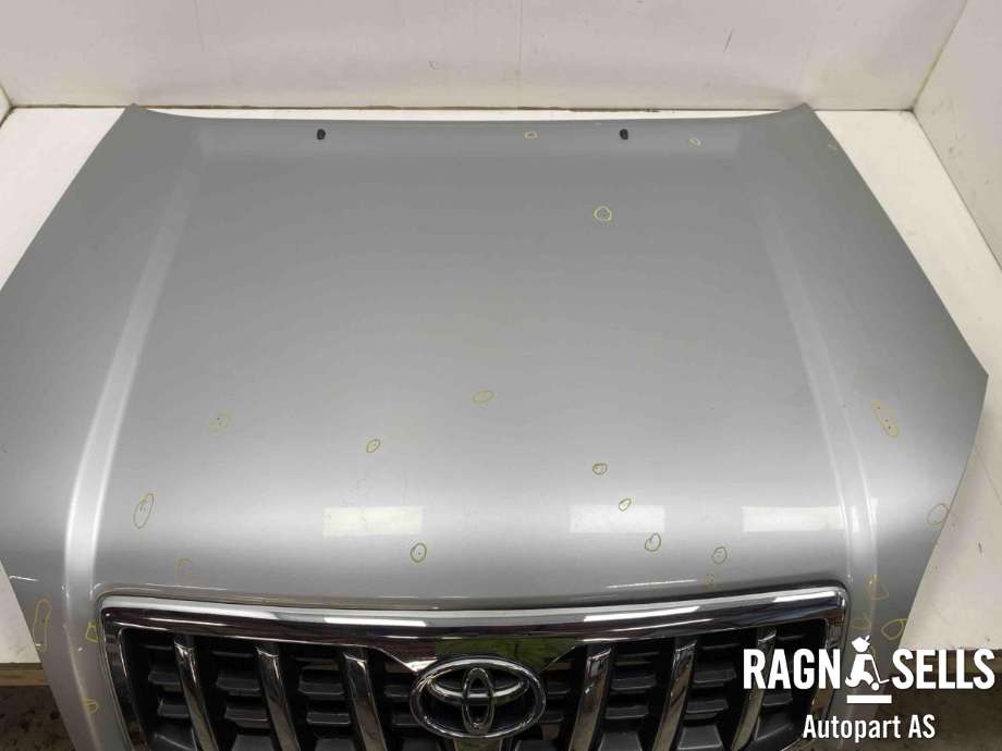 Panser til Toyota Land Cruiser 120 2002-2009  