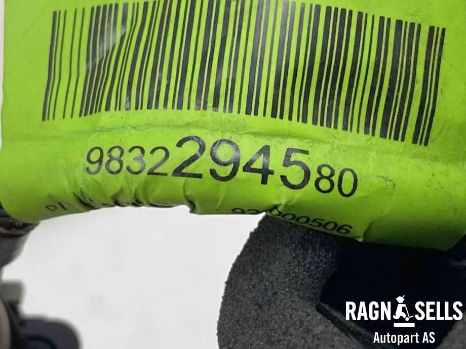 Kamera til Peugeot e-2008 2019-->>  