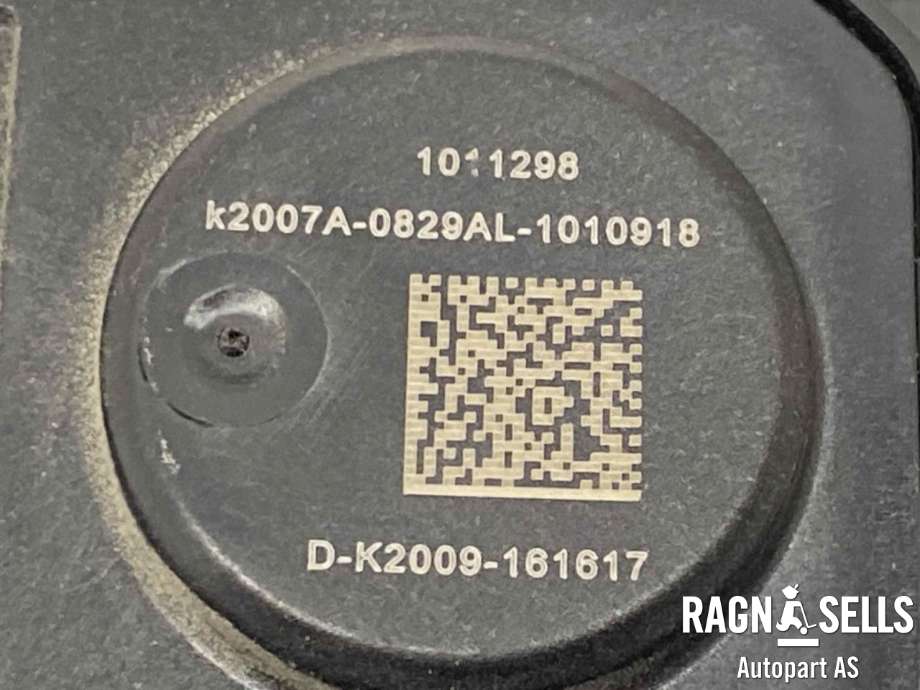 Pedal gass til Tesla Model 3 2018-2023 (Fase 1)  (D2127152508|K2019-090420|)