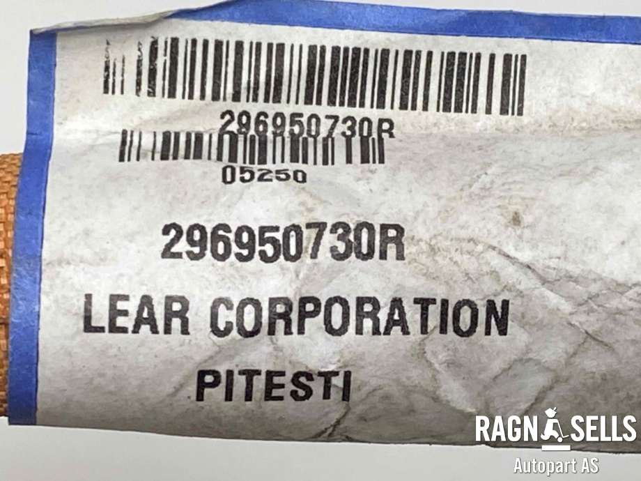 Batterilader inntak/luke til Renault Zoe 2013-2019 (Fase 1)  (296950730R|296938589R|)