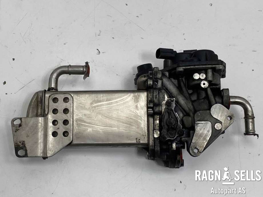 EGR-kjøler til VW Transporter / Caravelle 2009-2015 (Fase 2) (T5) (T5) (05L 131 512 C|04L 131 512 AJ|)