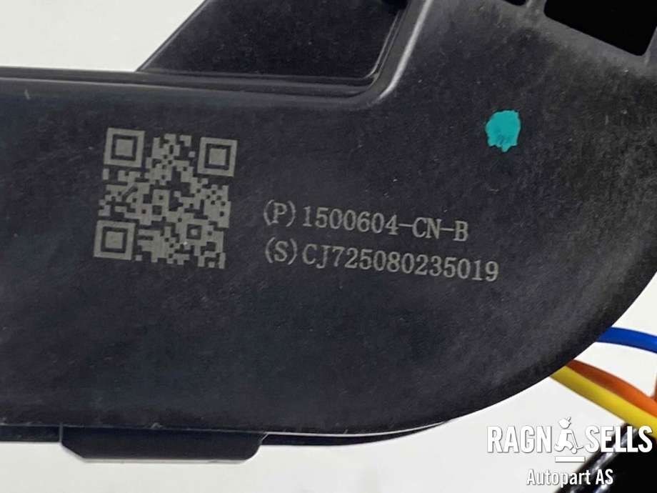 Baklukelås til Tesla Model 3 2024-->> (Fase 2)  (1500604 CN B|)