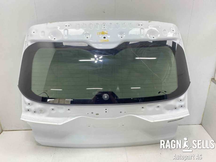 Bakluke combi til MG MG4, 2022-->>  (11080550-SPCP)