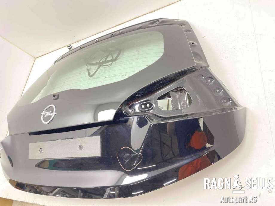 Bakluke combi til Opel Ampera-e 2017-->> (Type II) (39037559|39047564|)