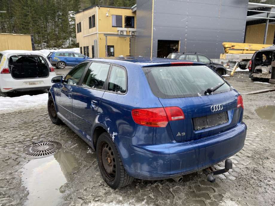 Audi A3 2003-2008 (Type II, Fase 1) , Motorkode: BSE, Girkassekode: FVH