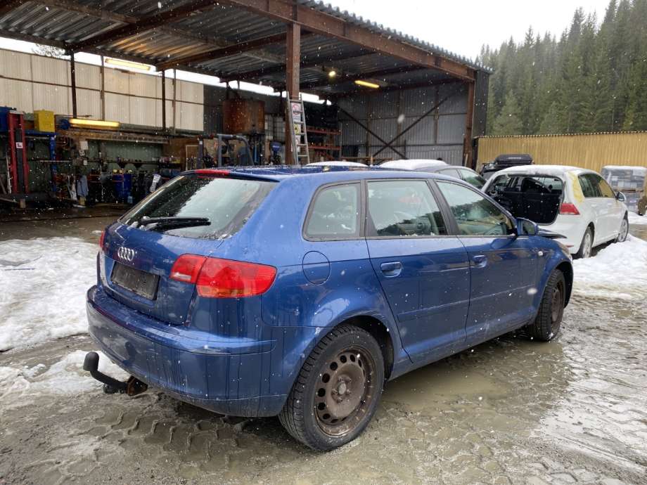 Audi A3 2003-2008 (Type II, Fase 1) , Motorkode: BSE, Girkassekode: FVH