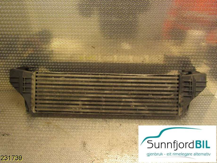 Intercooler til BMW X5, 2000-2006 (E53) (E53) (BMW|)